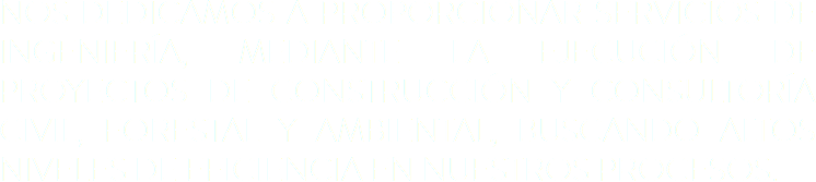 NOS DEDICAMOS A PROPORCIONAR SERVICIOS DE INGENIERÍA, MEDIANTE LA EJECUCIÓN DE PROYECTOS DE CONSTRUCCIÓN Y CONSULTORÍA CIVIL, FORESTAL Y AMBIENTAL, BUSCANDO ALTOS NIVELES DE EFICIENCIA EN NUESTROS PROCESOS.